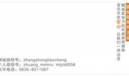 聊城新闻爆料,揭秘某事件背后真相